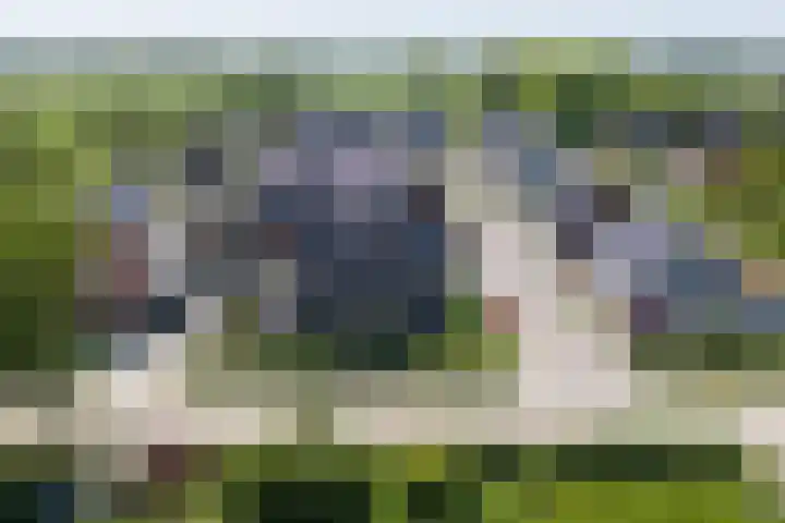 Steegakker 2 Rumpt thumbnail 47