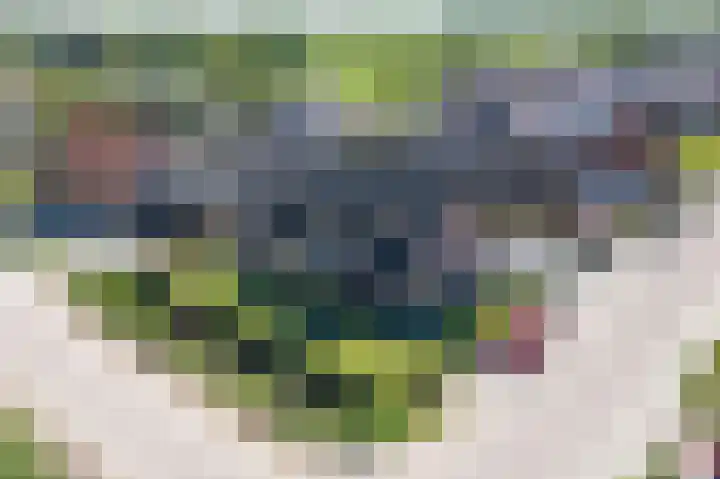 Steegakker 2 Rumpt thumbnail 51