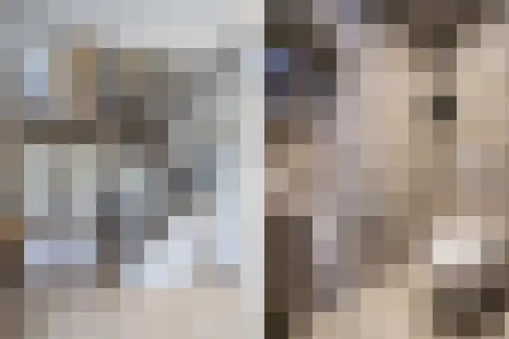 Steegakker 2 Rumpt thumbnail 8