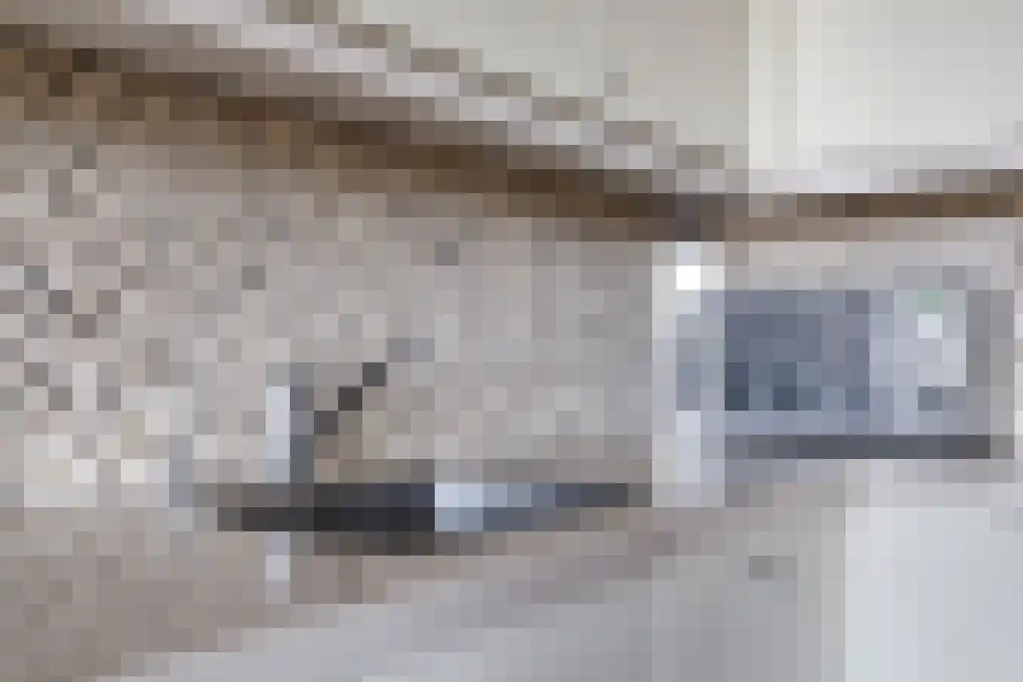 Steegakker 36 Dodewaard thumbnail 27