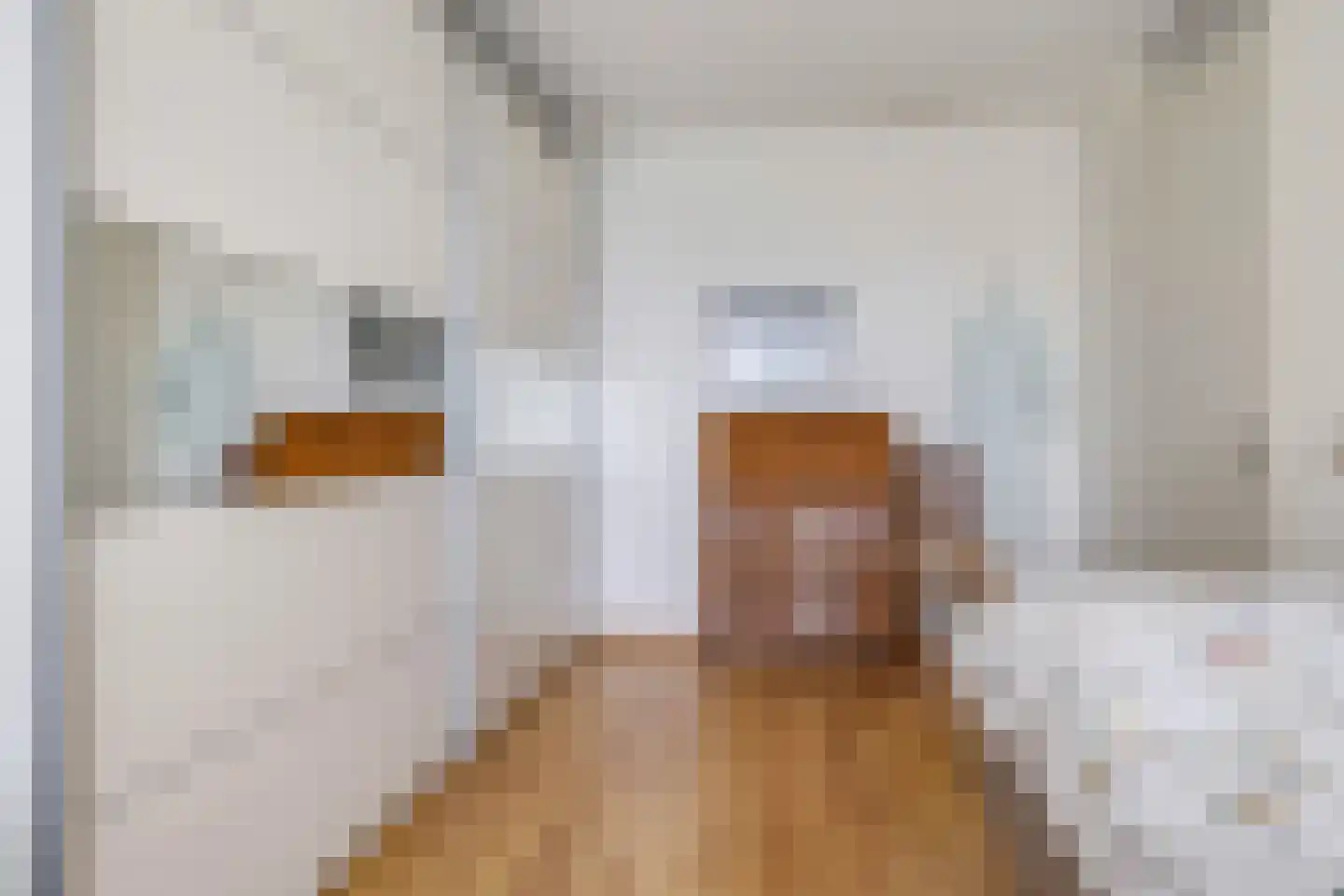 Steegakker 36 Dodewaard thumbnail 31