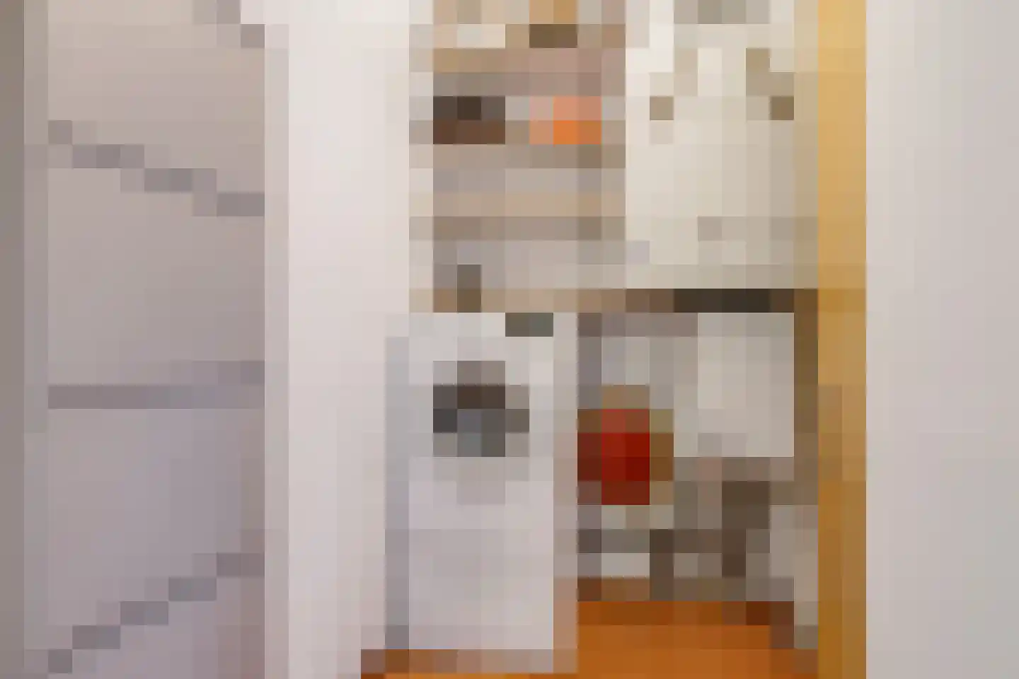 Steegakker 36 Dodewaard thumbnail 38