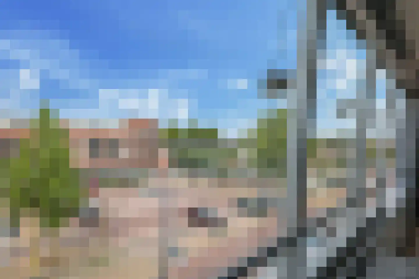 Steegakker 36 Dodewaard thumbnail 45