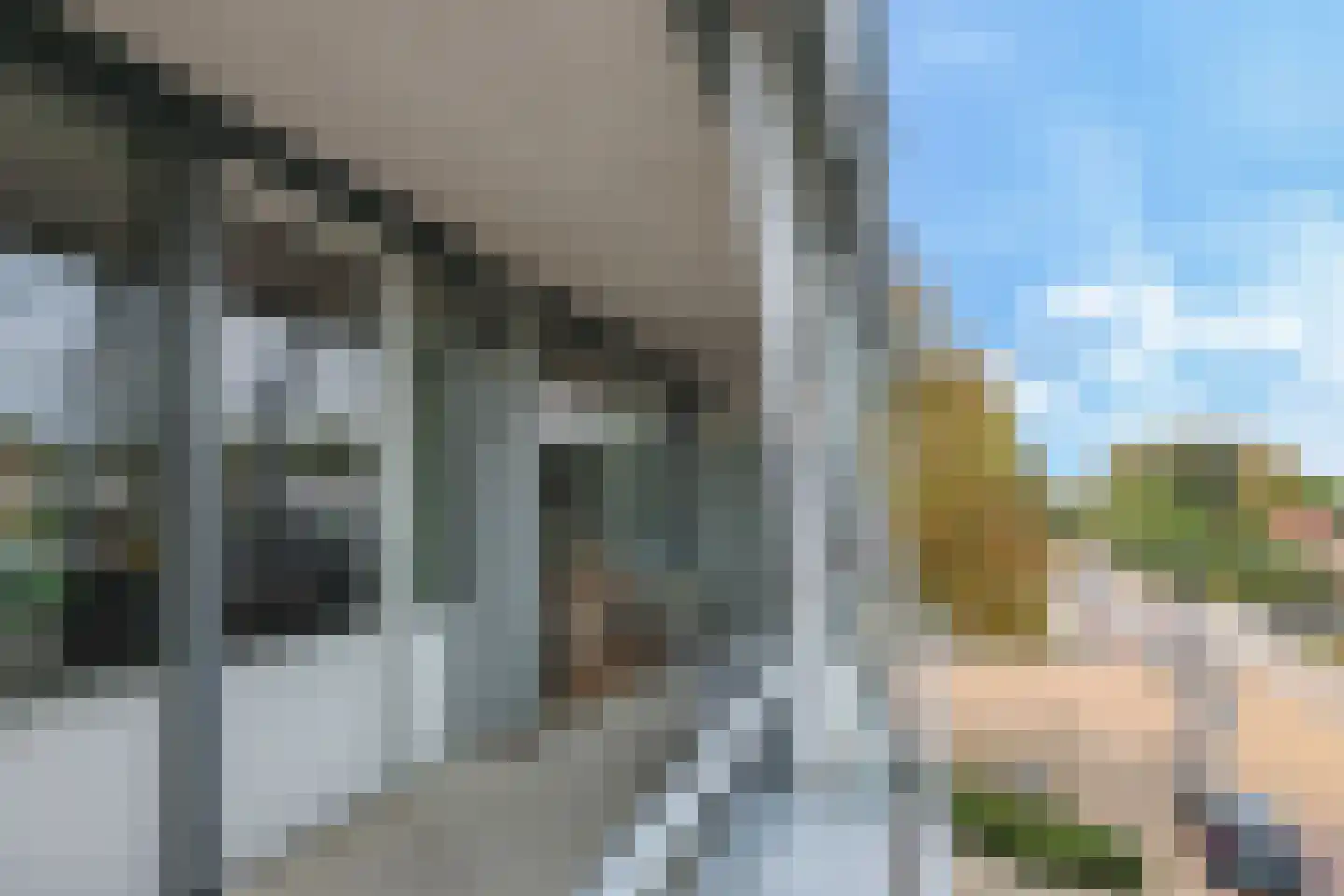 Steegakker 36 Dodewaard thumbnail 48