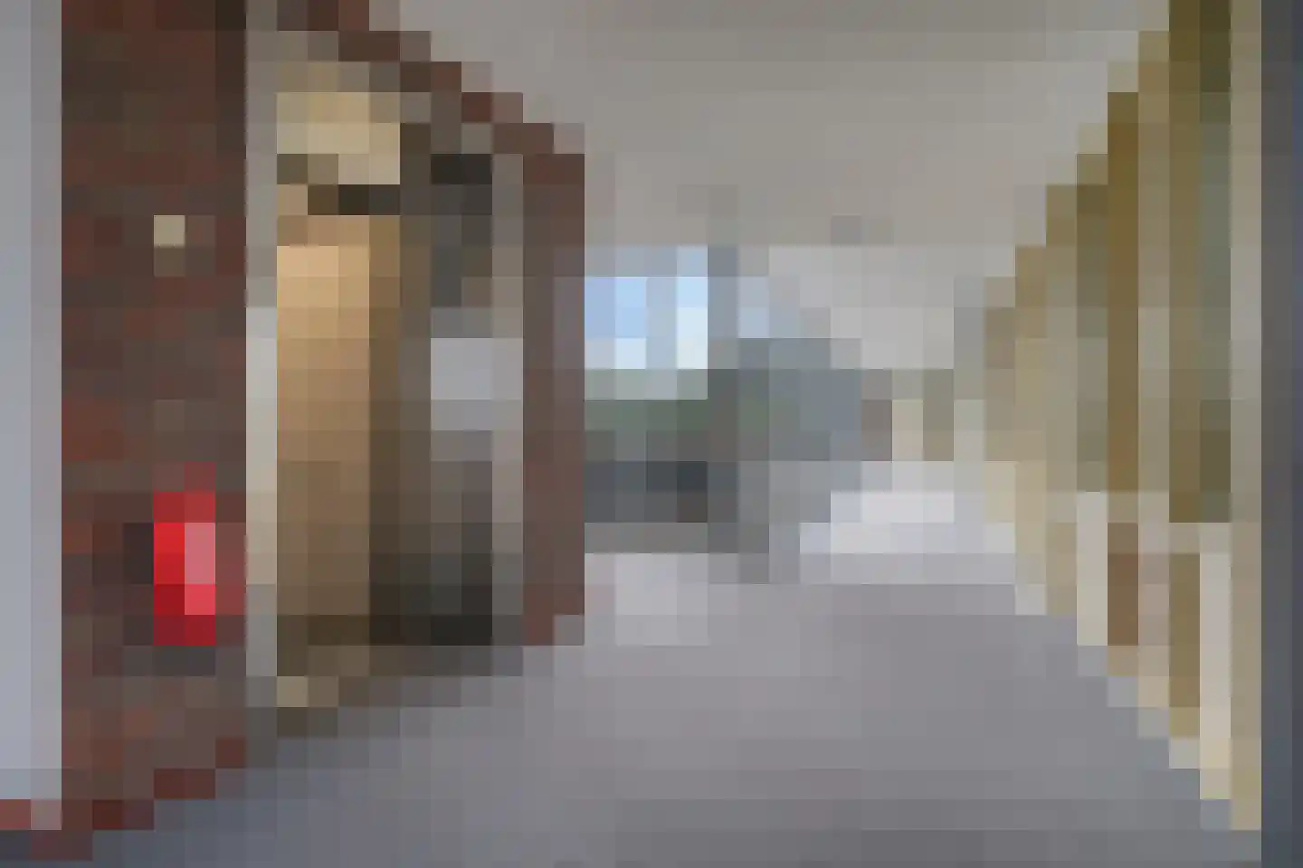 Steegakker 36 Dodewaard thumbnail 51