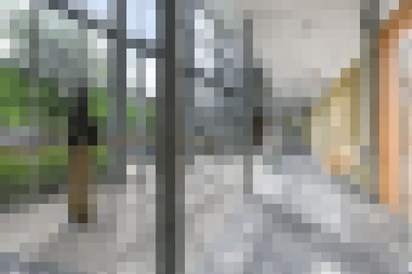 Steegakker 36 Dodewaard thumbnail 54