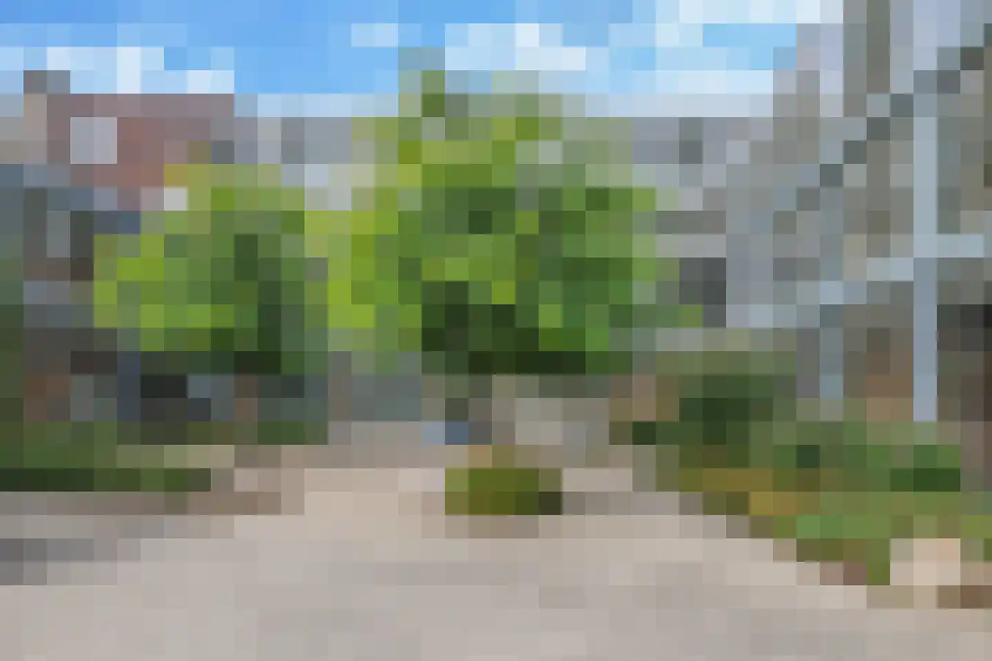 Steegakker 36 Dodewaard thumbnail 62
