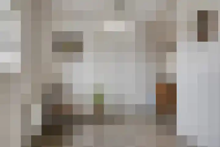 Steegakker 47 Dodewaard thumbnail 12