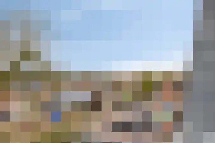 Steegakker 47 Dodewaard thumbnail 23