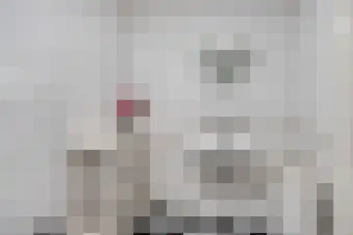 Steegakker 47 Dodewaard thumbnail 32