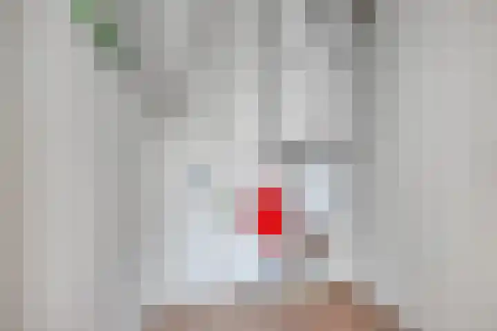 Steegakker 47 Dodewaard thumbnail 34
