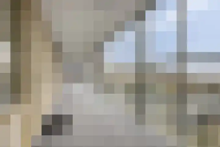 Steegakker 47 Dodewaard thumbnail 38