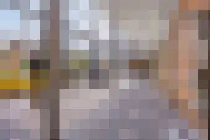 Steegakker 47 Dodewaard thumbnail 39