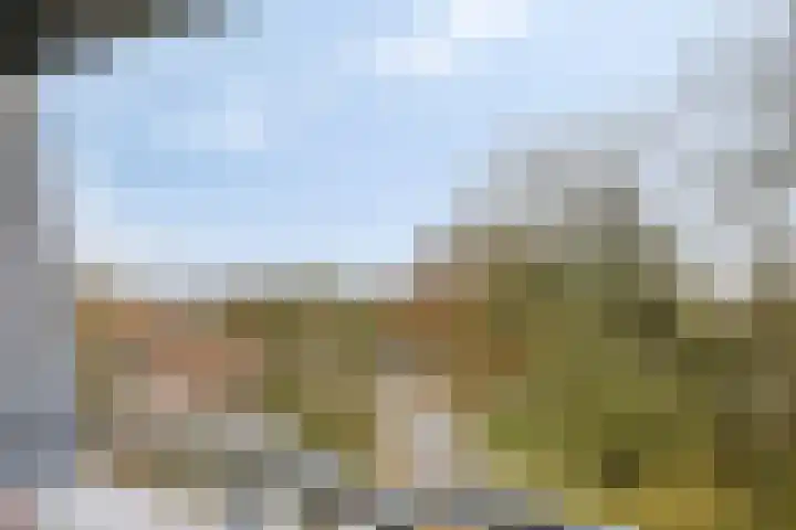 Steegakker 47 Dodewaard thumbnail 4