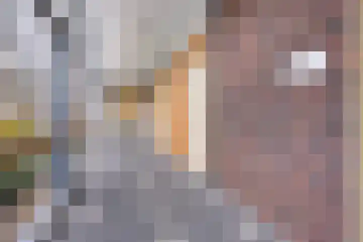 Steegakker 47 Dodewaard thumbnail 40