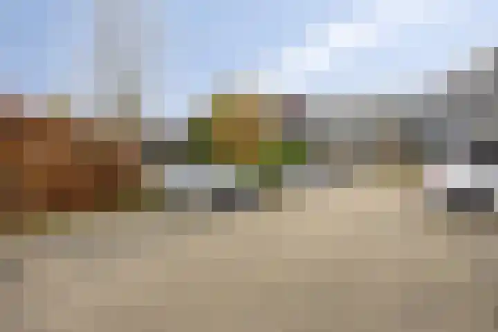 Steegakker 47 Dodewaard thumbnail 43