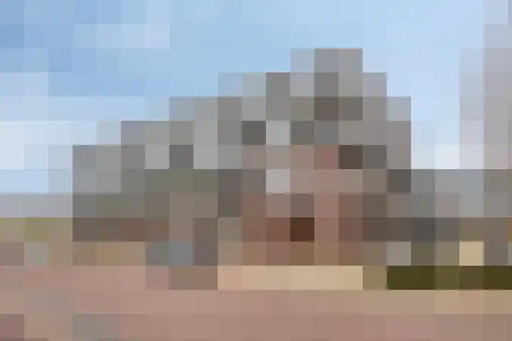 Steegakker 47 Dodewaard thumbnail 45