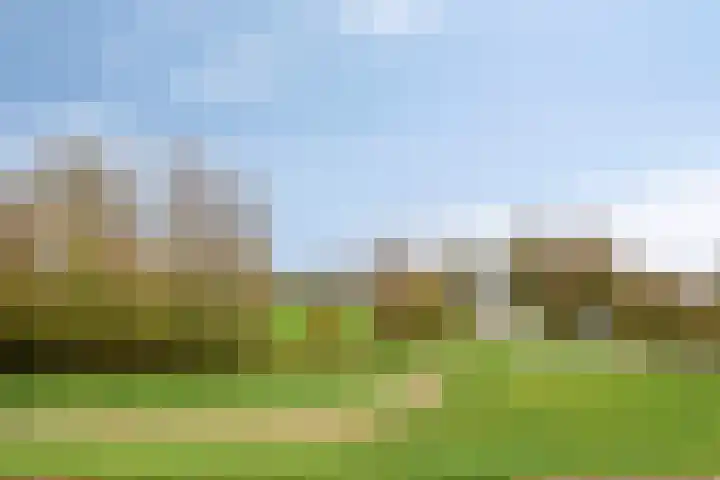 Steegakker 47 Dodewaard thumbnail 49