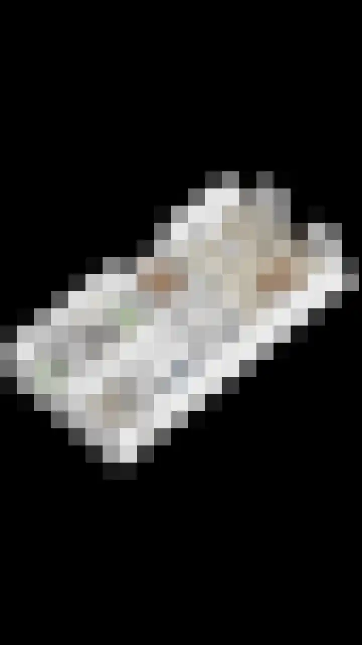 Steegakker 47 Dodewaard thumbnail 51