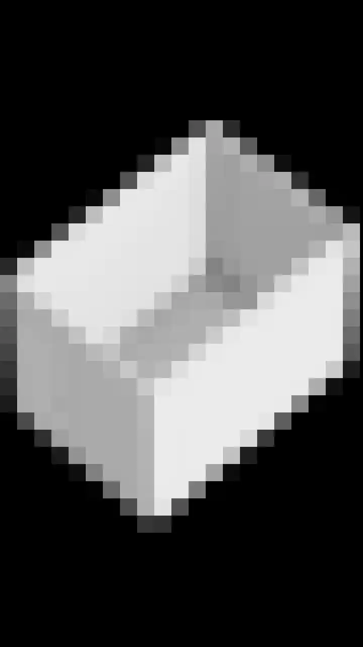 Steegakker 47 Dodewaard thumbnail 53