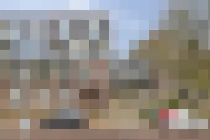 Steegakker 47 Dodewaard thumbnail 6