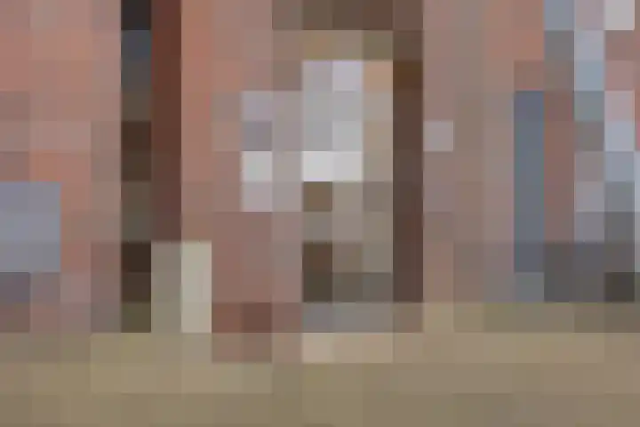 Steegakker 47 Dodewaard thumbnail 7