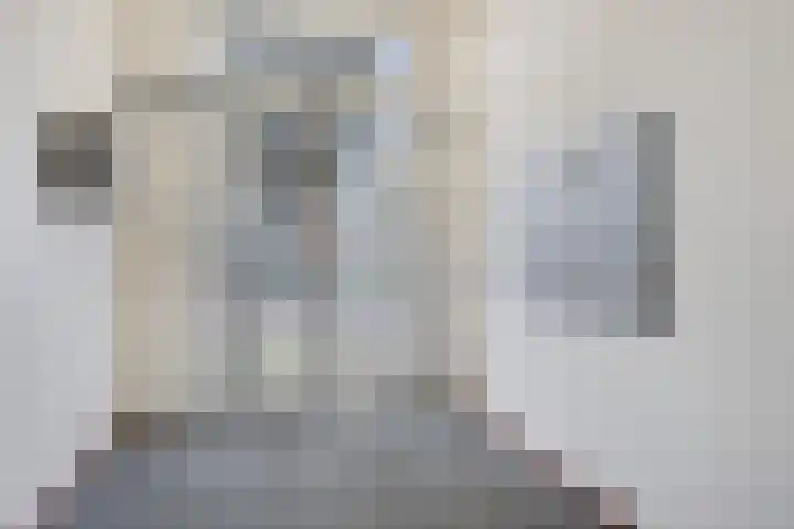 Steegakker 47 Dodewaard thumbnail 8