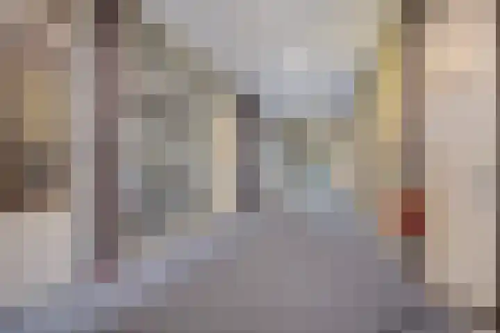 Steegakker 47 Dodewaard thumbnail 9