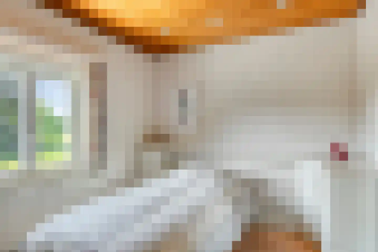 Steegeindstraat 1 AB Lithoijen thumbnail 30