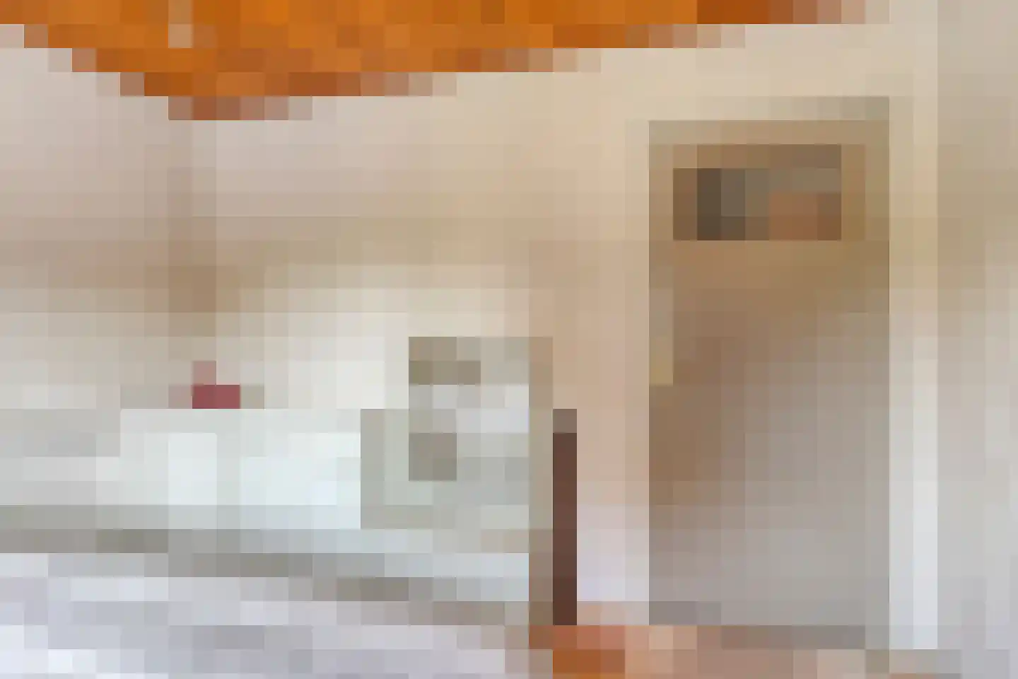 Steegeindstraat 1 AB Lithoijen thumbnail 31