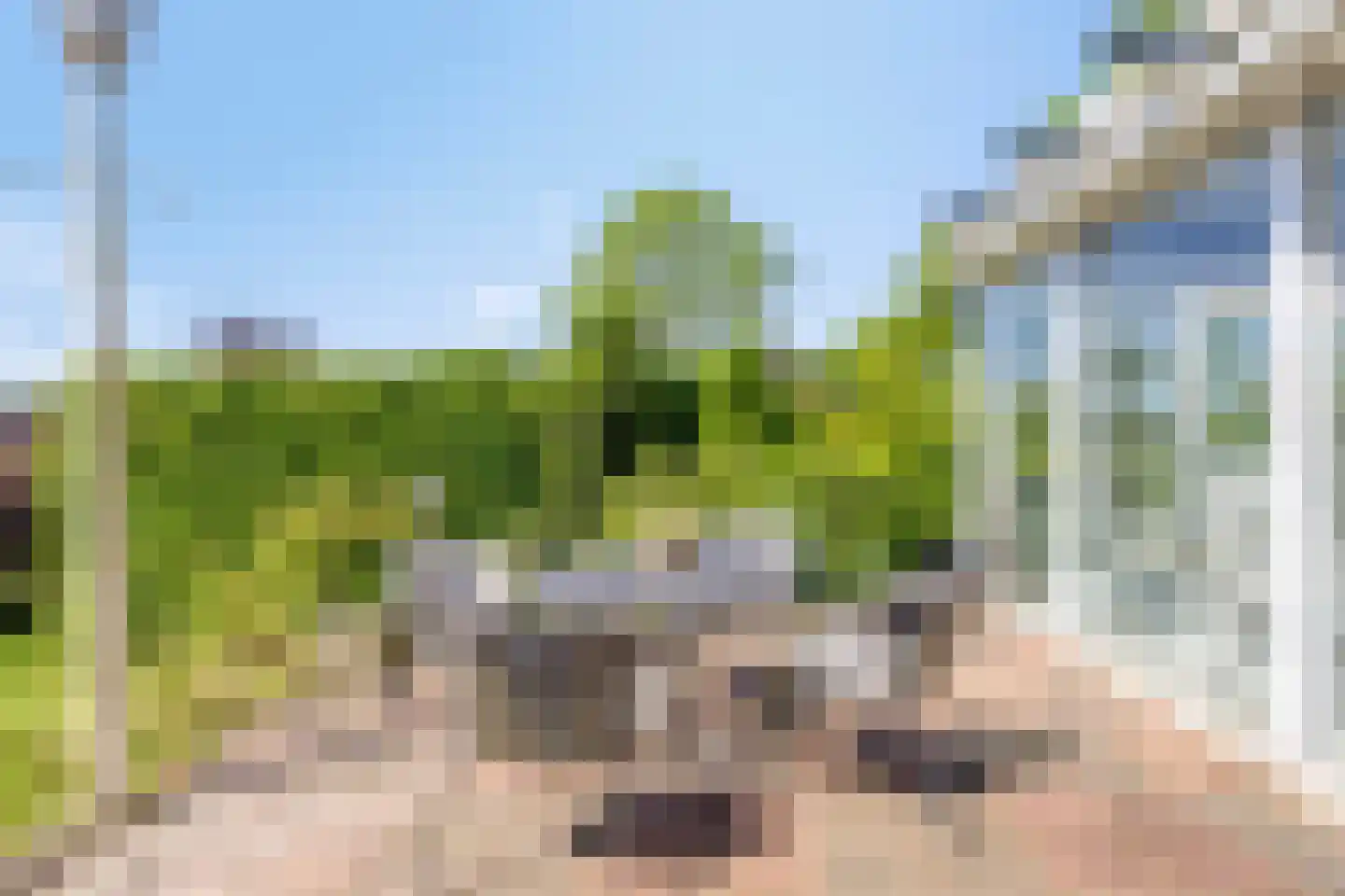 Steegeindstraat 1 AB Lithoijen thumbnail 35
