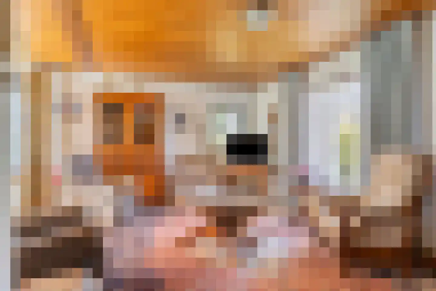 Steegeindstraat 1 Lithoijen thumbnail 10