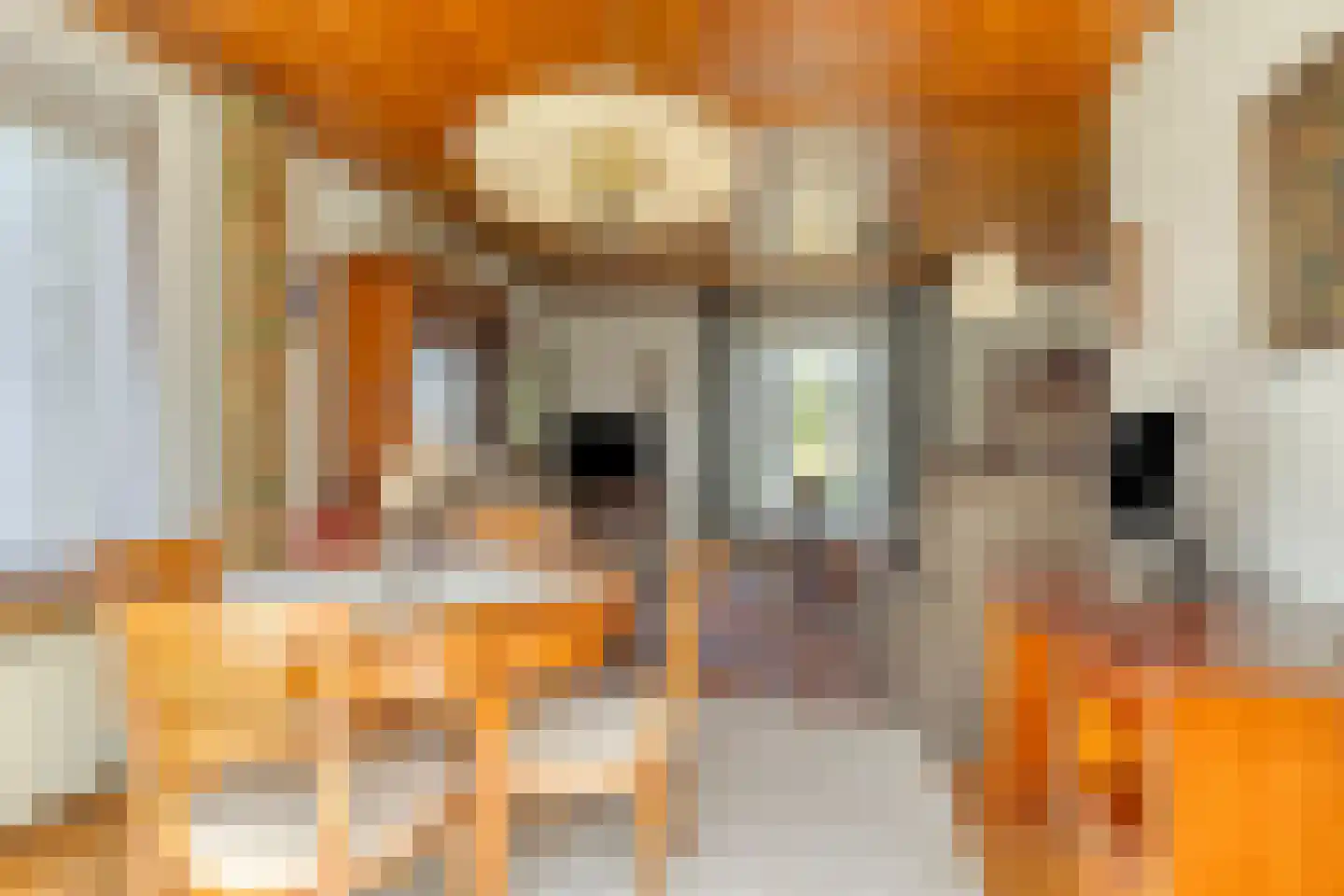 Steegeindstraat 1 Lithoijen thumbnail 15