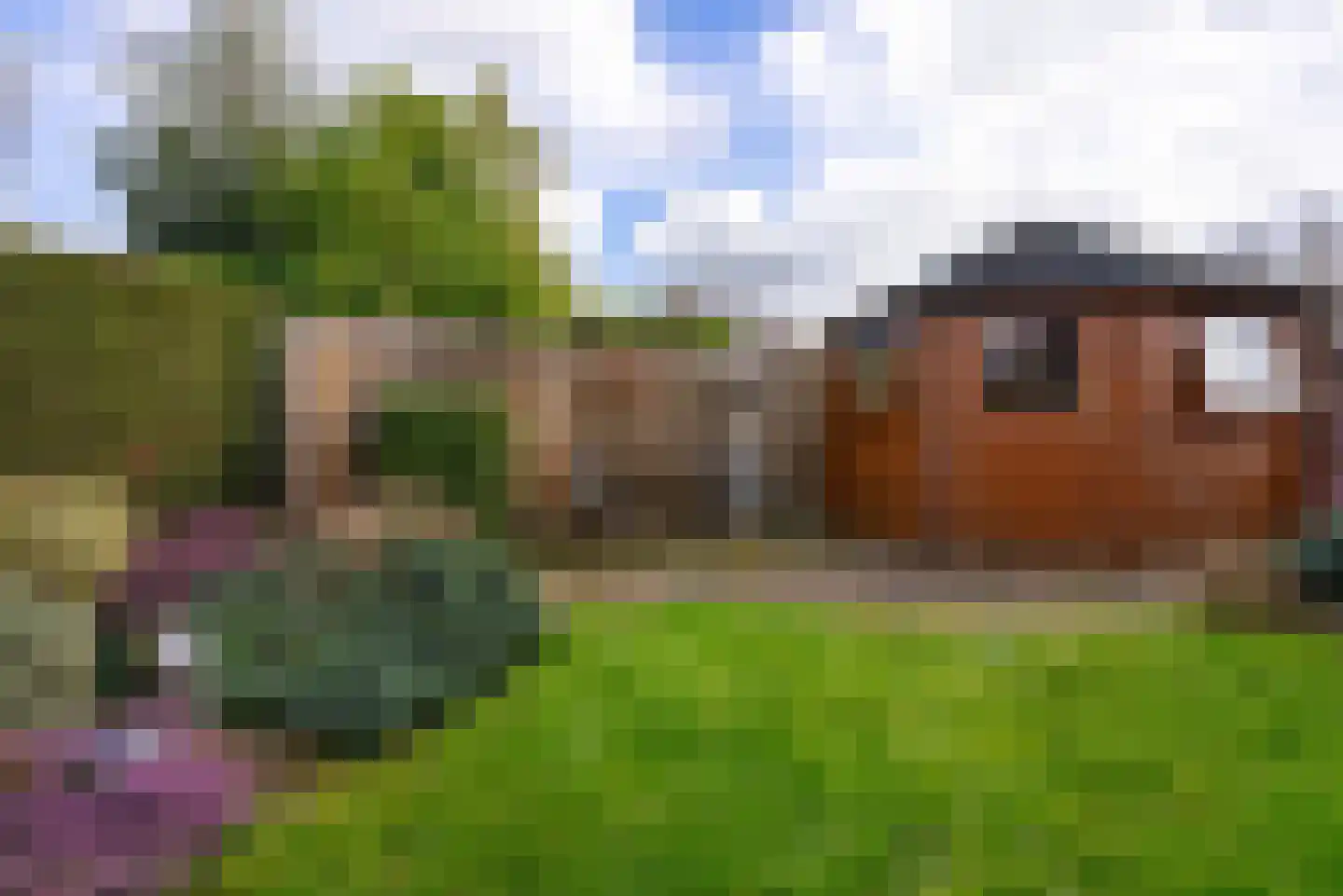 Steeginghof 5 Assen thumbnail 33