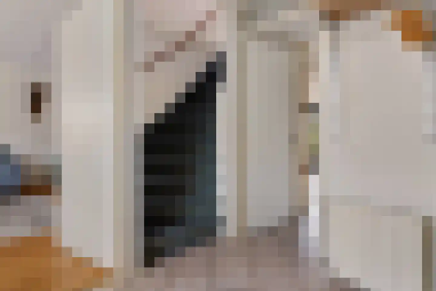 Steeginghof 5 Assen thumbnail 5
