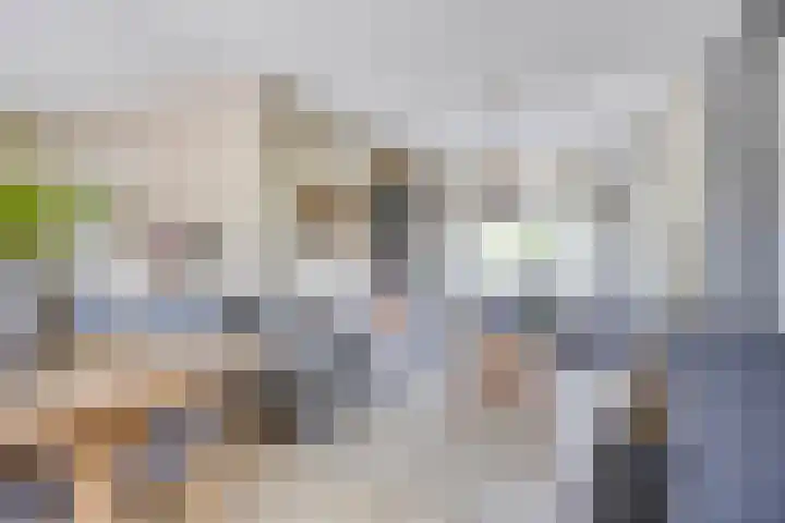 Steegjesdijk 1 Piershil thumbnail 10