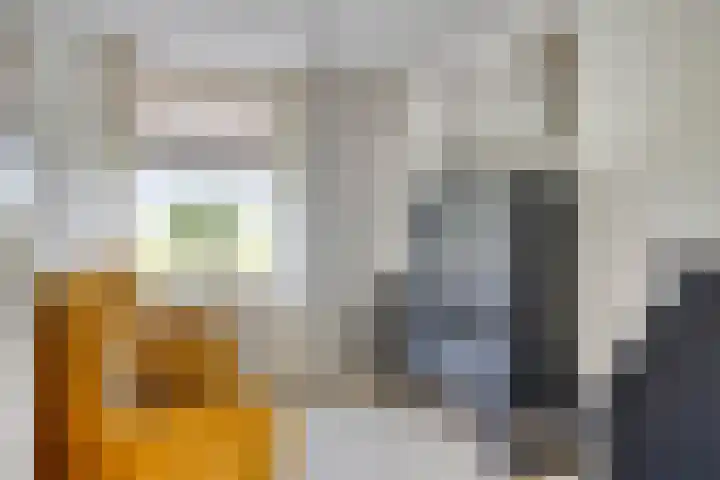 Steegjesdijk 1 Piershil thumbnail 13