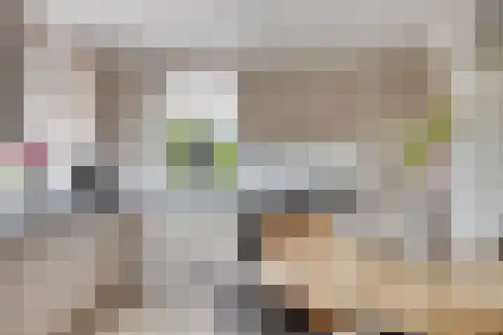 Steegjesdijk 1 Piershil thumbnail 15