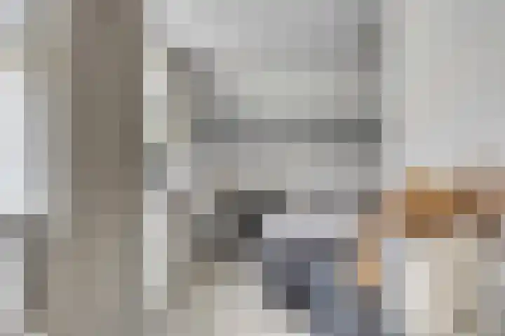 Steegjesdijk 1 Piershil thumbnail 18