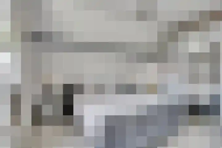 Steegjesdijk 1 Piershil thumbnail 19