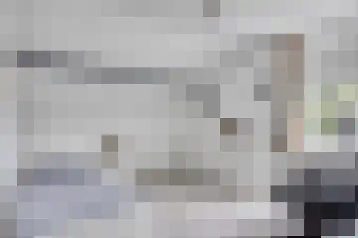 Steegjesdijk 1 Piershil thumbnail 22