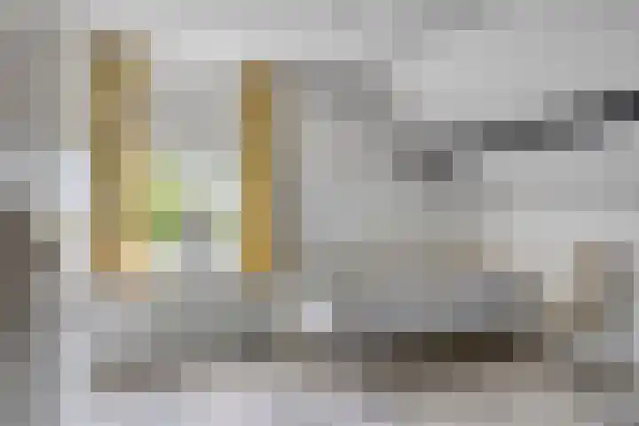 Steegjesdijk 1 Piershil thumbnail 23