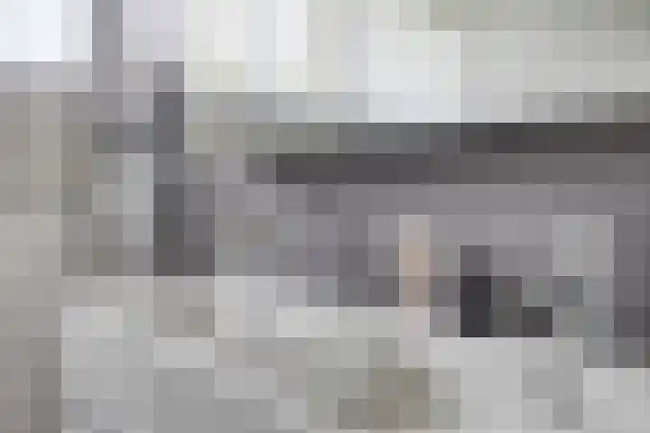 Steegjesdijk 1 Piershil thumbnail 26