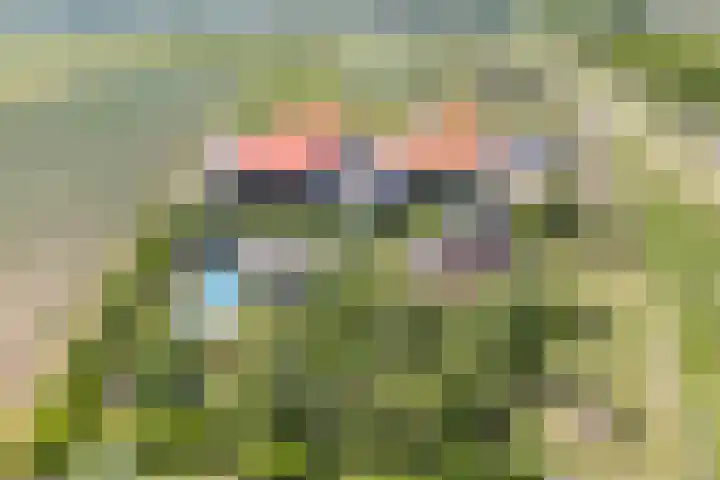 Steegjesdijk 1 Piershil thumbnail 30