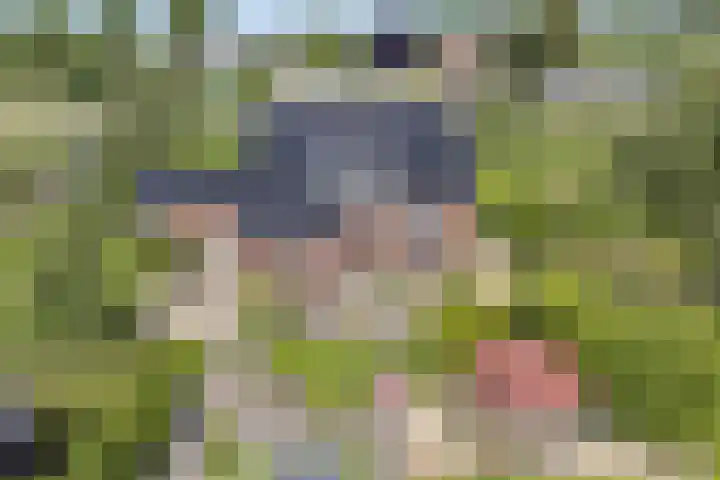 Steegjesdijk 1 Piershil thumbnail 31
