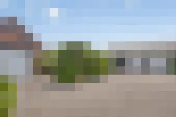 Steegjesdijk 1 Piershil thumbnail 32