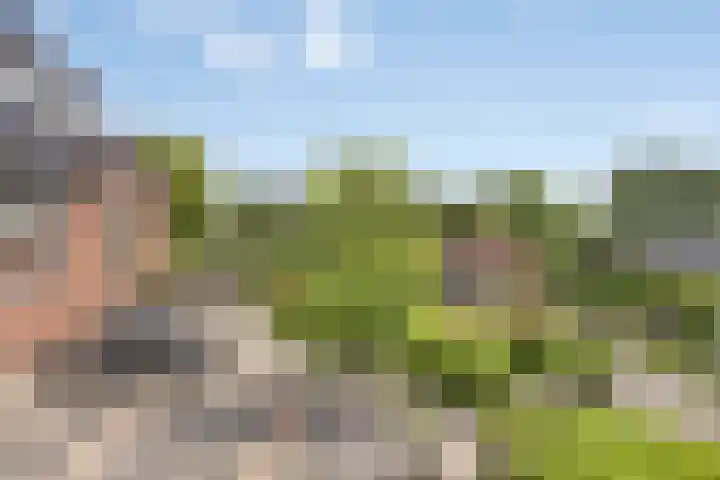 Steegjesdijk 1 Piershil thumbnail 35