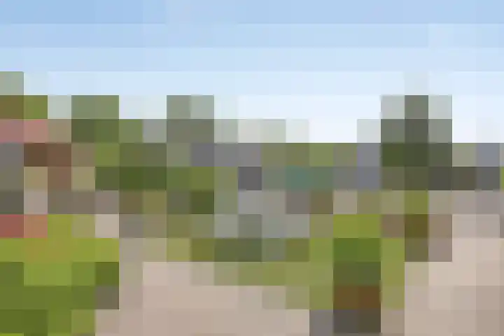 Steegjesdijk 1 Piershil thumbnail 36