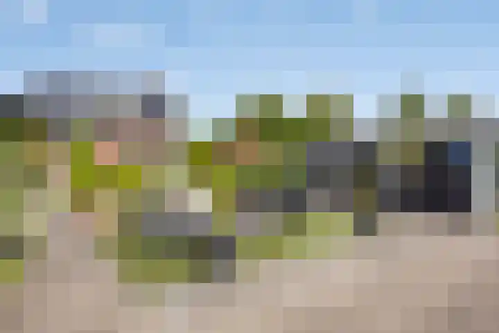 Steegjesdijk 1 Piershil thumbnail 37