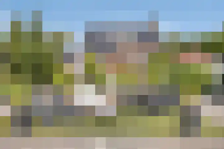 Steegjesdijk 1 Piershil thumbnail 38